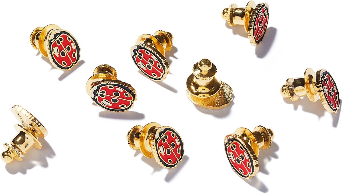 Ladybug Pin view 2
